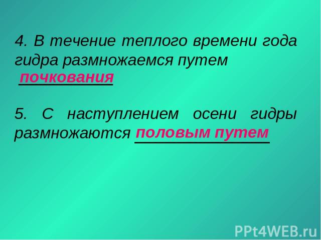 Ссылка на сайт кракен в тор браузере